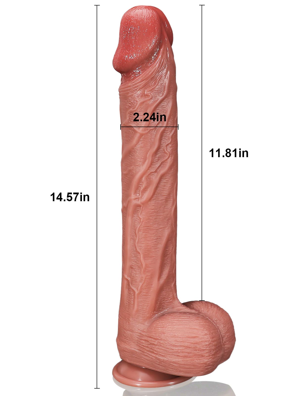 Jose 14.5" X 2.2" Lifelike Huge Girth Anal Dildo For Wife