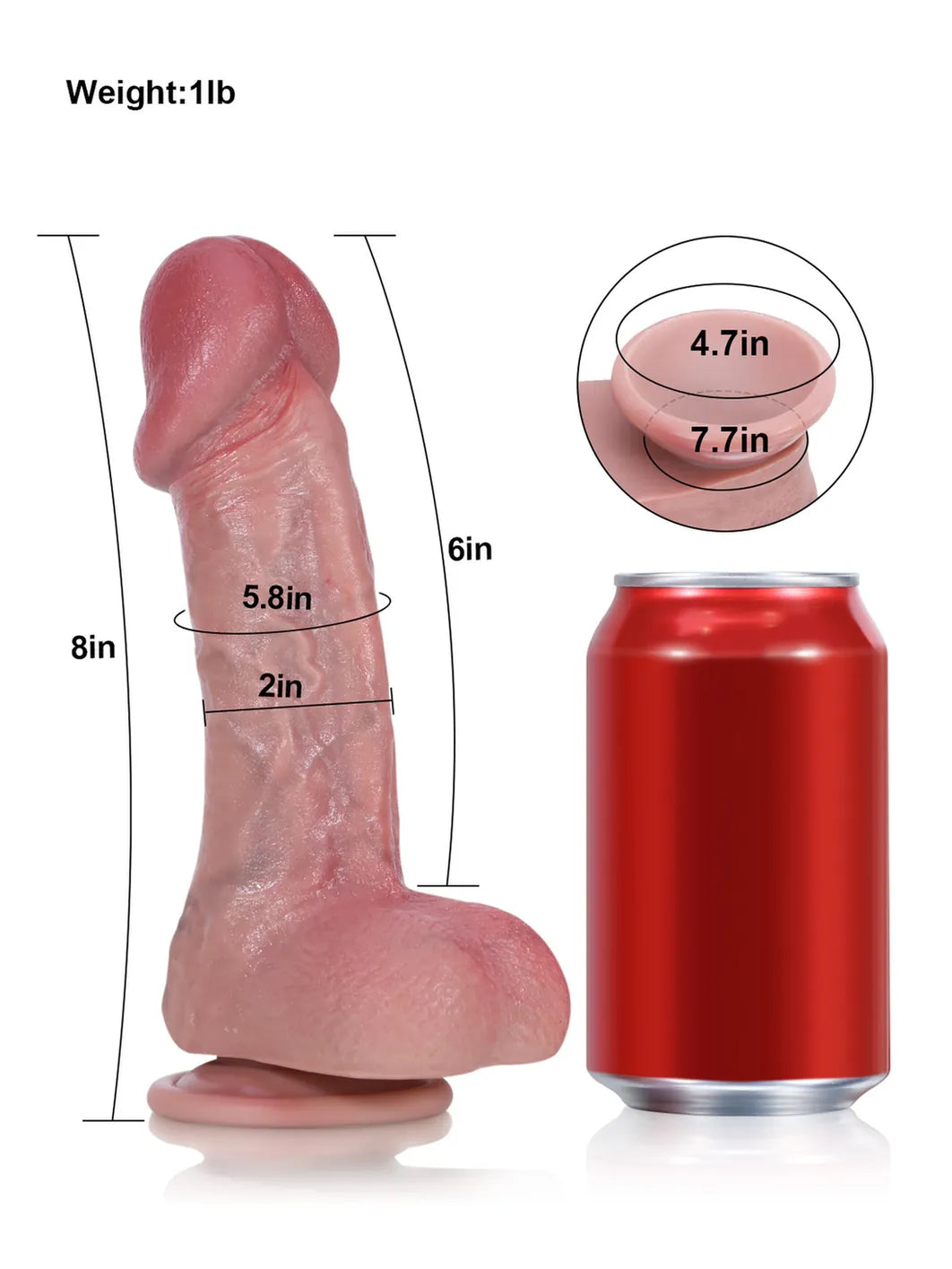 8" x 2" - Beginner Curved Dildo with Sculpted Glans and Suction