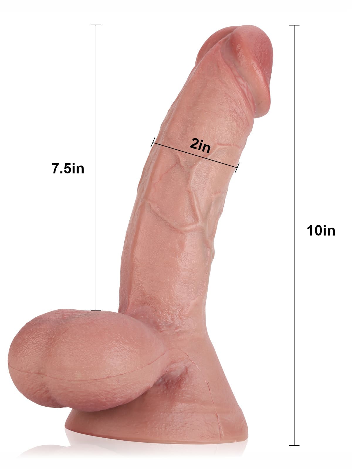 Rob 10" x 2" Realistic Soft Dildo With Swinging Balls & Metal Keel Bendable