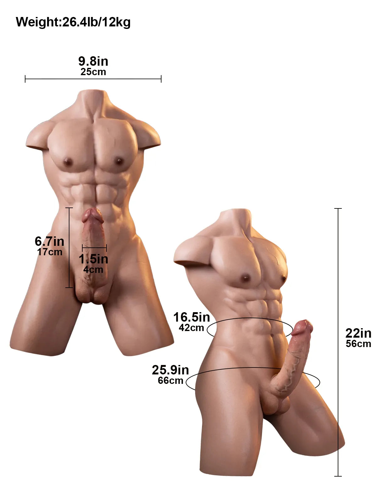 Lucas | 6.7" x 1.5" Platinum Silicone Signature Torso Dildo with Muscular Upper Body