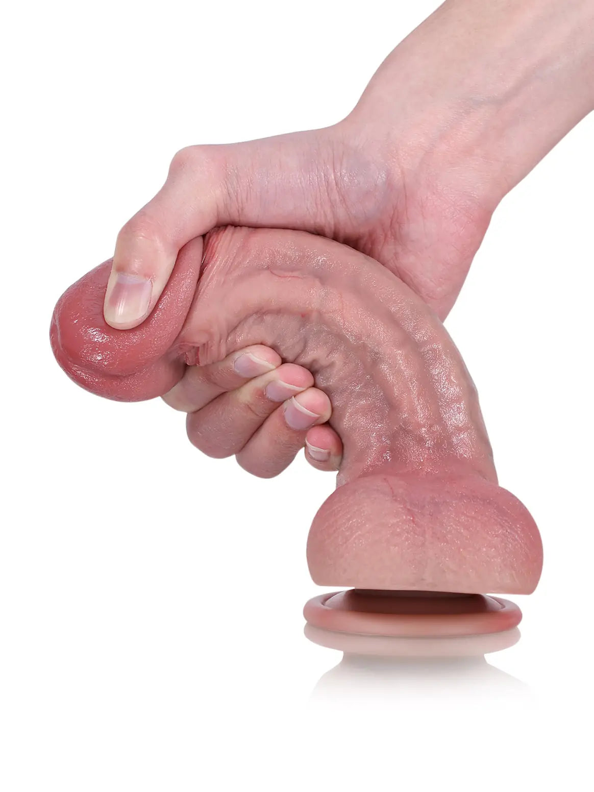 8" x 2" - Beginner Curved Dildo with Sculpted Glans and Suction