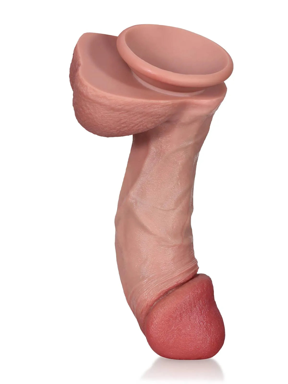 Bottom view of Cody dildo showing round suction cup base, testicles and red-toned head